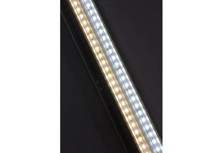 Светильник Аквас 55 см, LED (холодный+теплый)