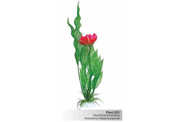 Пластиковое растение Plant 023- Апоногетон Мадагаскарский с цветком
