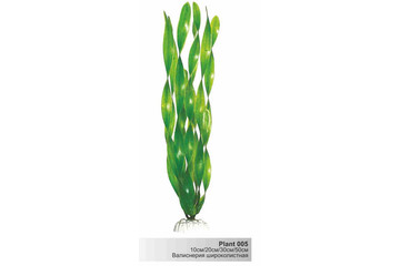 Пластиковое растение Plant 005-Валиснерия широколистная