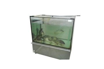 Промышленный аквариум для продажи рыбы 250 литров