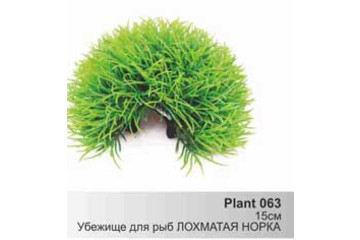 Растение Plant 063 