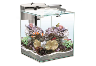 Аквариум морской NANO REEF DUO LED 2.0 / 49 л, куб, белый, 35х45х40 см