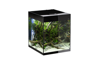 Аквариум GLOSSY 50 Day&Night / 135л, из стекла 