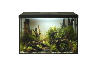 Аквариум LEDDY XL 60 D/N 2.0 ЧЕРНЫЙ / 72л прямой, 60х30х40см