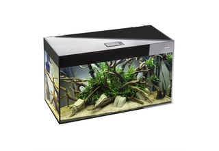 Аквариум Glossy 80 D&N / 125л ЧЁРНЫЙ/БЕЛЫЙ/СЕРЫЙ из стекла 