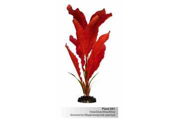 Шёлковое растение Plant 041-Апоногетон Мадагаскарский, Красный, в БЛИСТЕРЕ