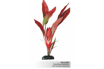 Шёлковое растение Plant 049-КРИПТОКОРИНА красная в БЛИСТЕРЕ