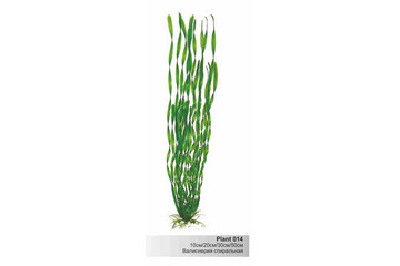 Пластиковое растение Plant 014- Валиснерия спиральная ЗЕЛЕНАЯ