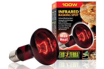 Инфракрасная лампа - Exo-Terra Infrared Basking Spot - R25 / 100 Вт